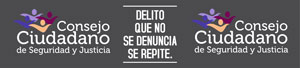 Consejo Ciudadano