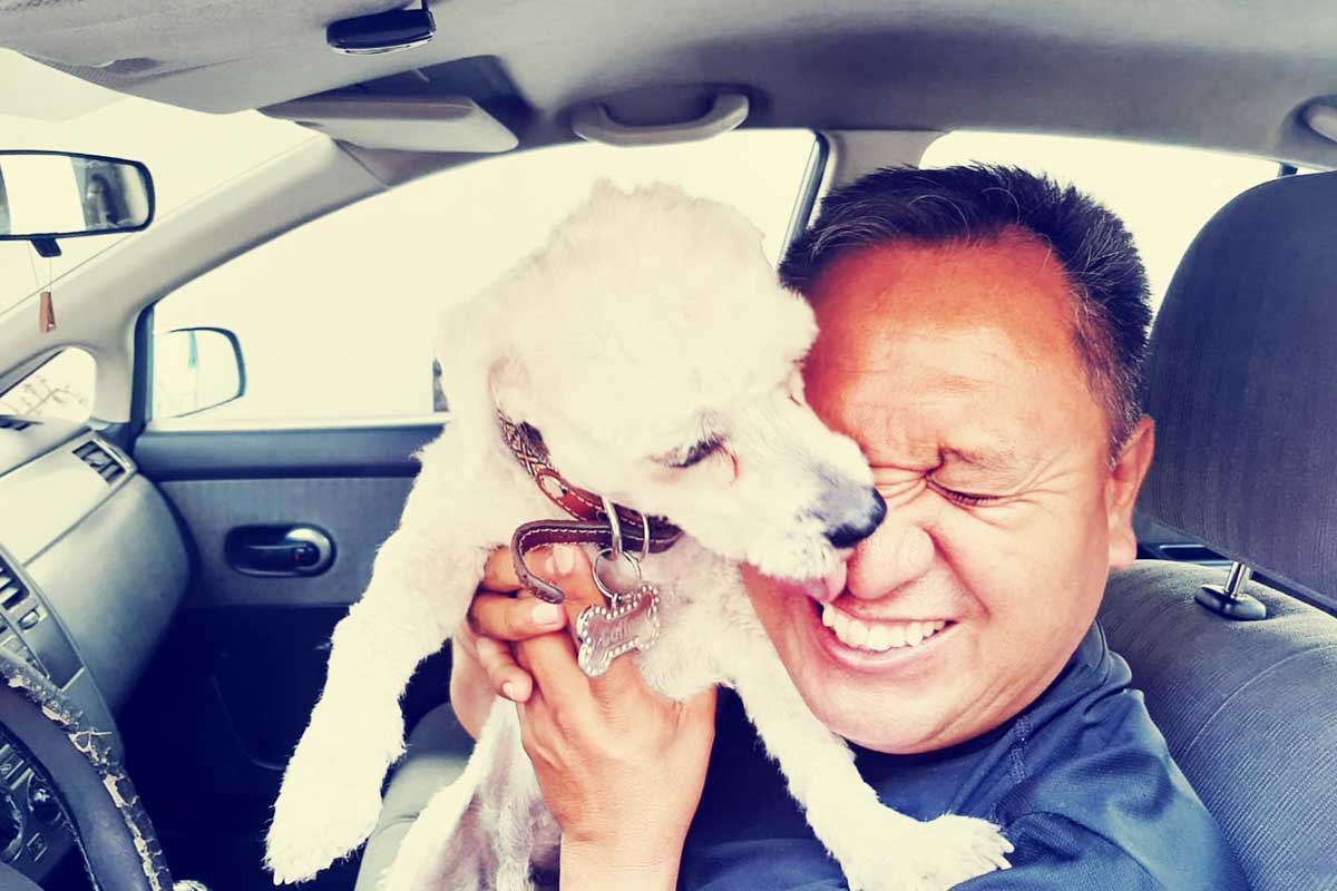 Iluminan Palacio en Puebla