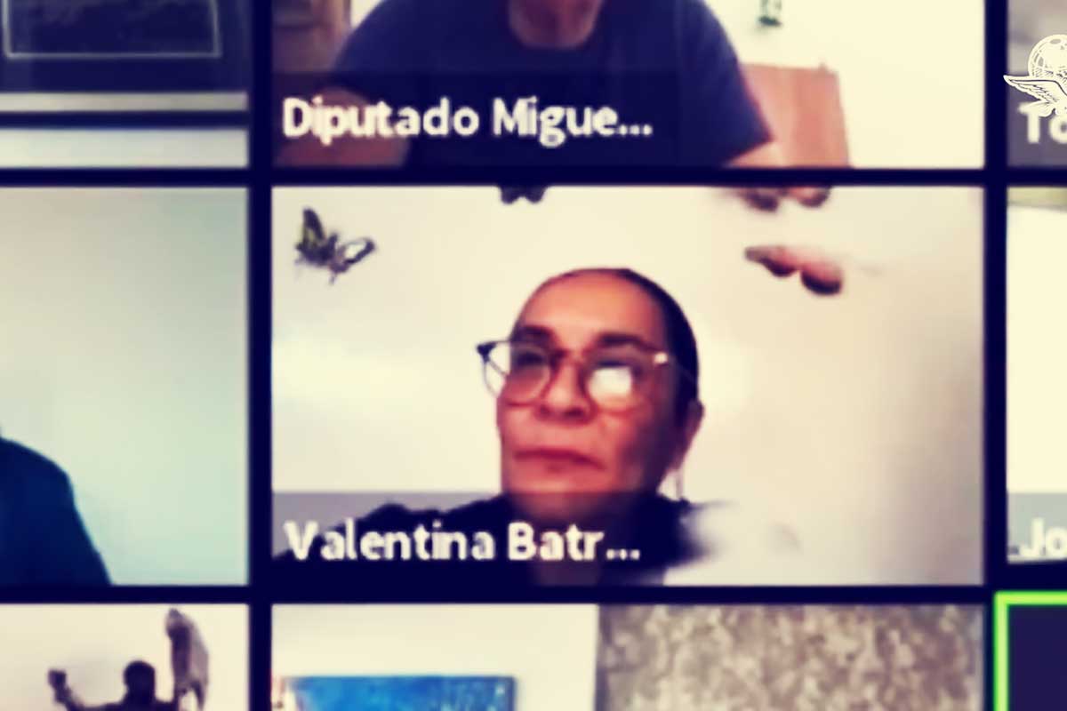 Diputada deja foto y se va de la sesión