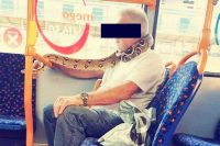 Hombre usa serpiente como cubrebocas