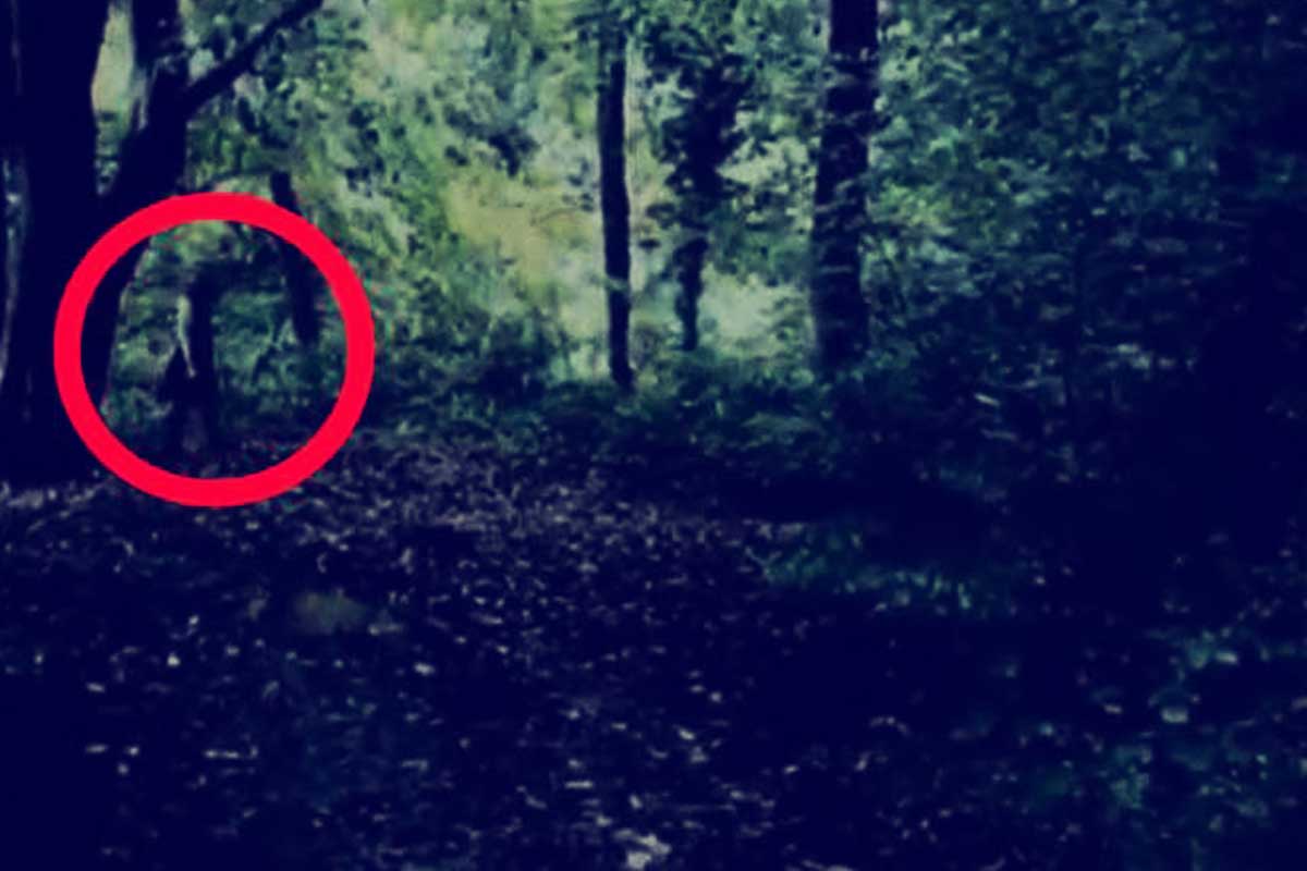 Captan a niña fantasma ¿será real?
