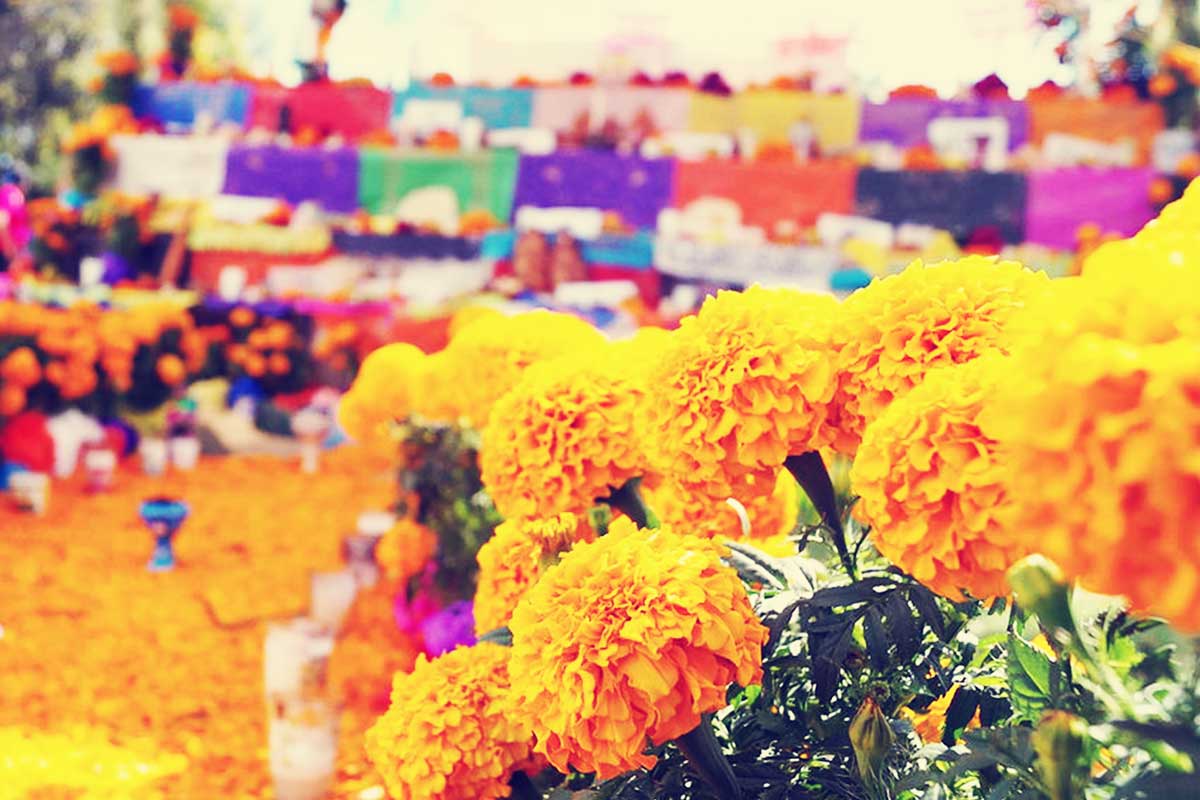 ¿Qué elementos lleva el altar del día de muertos?