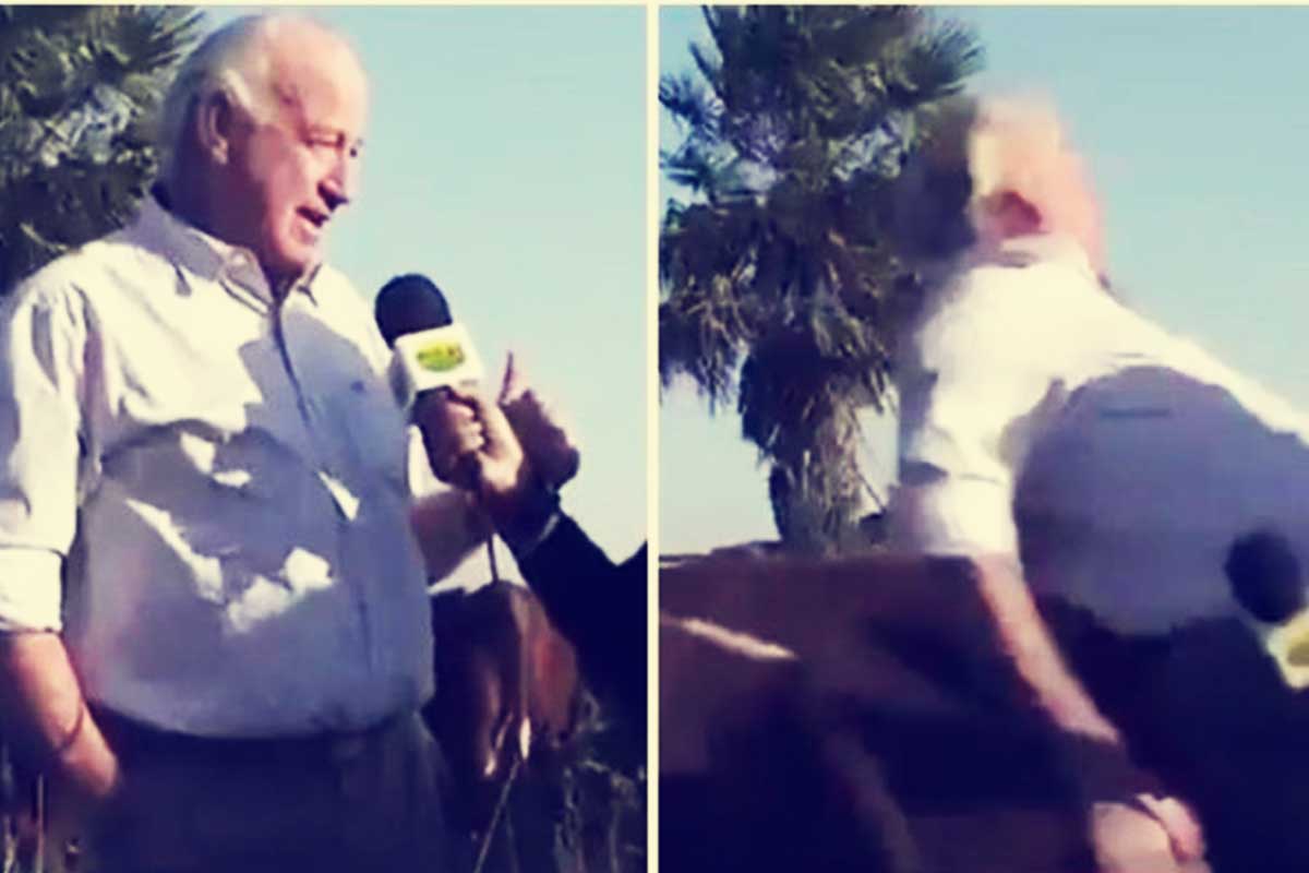 Veterinario embestido por una vaca