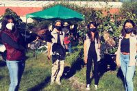 Vota por el proyecto de conservación de aves rapaces BUAP