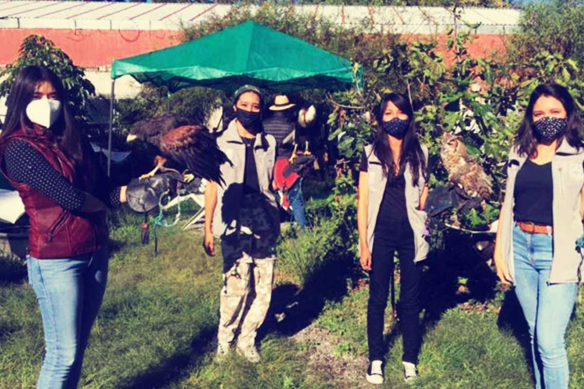 Vota por el proyecto de conservación de aves rapaces BUAP