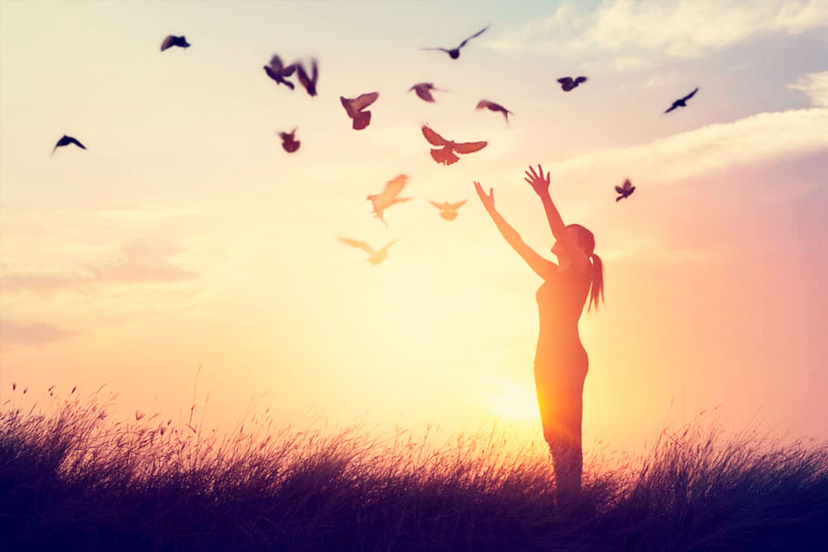 Un año en movimiento