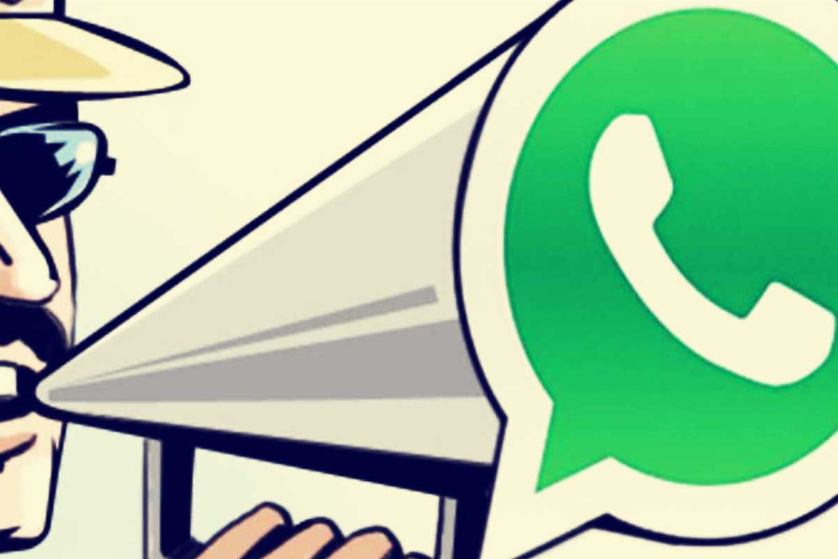 ¿Los grupos de whatsapp de colonos funcionan?