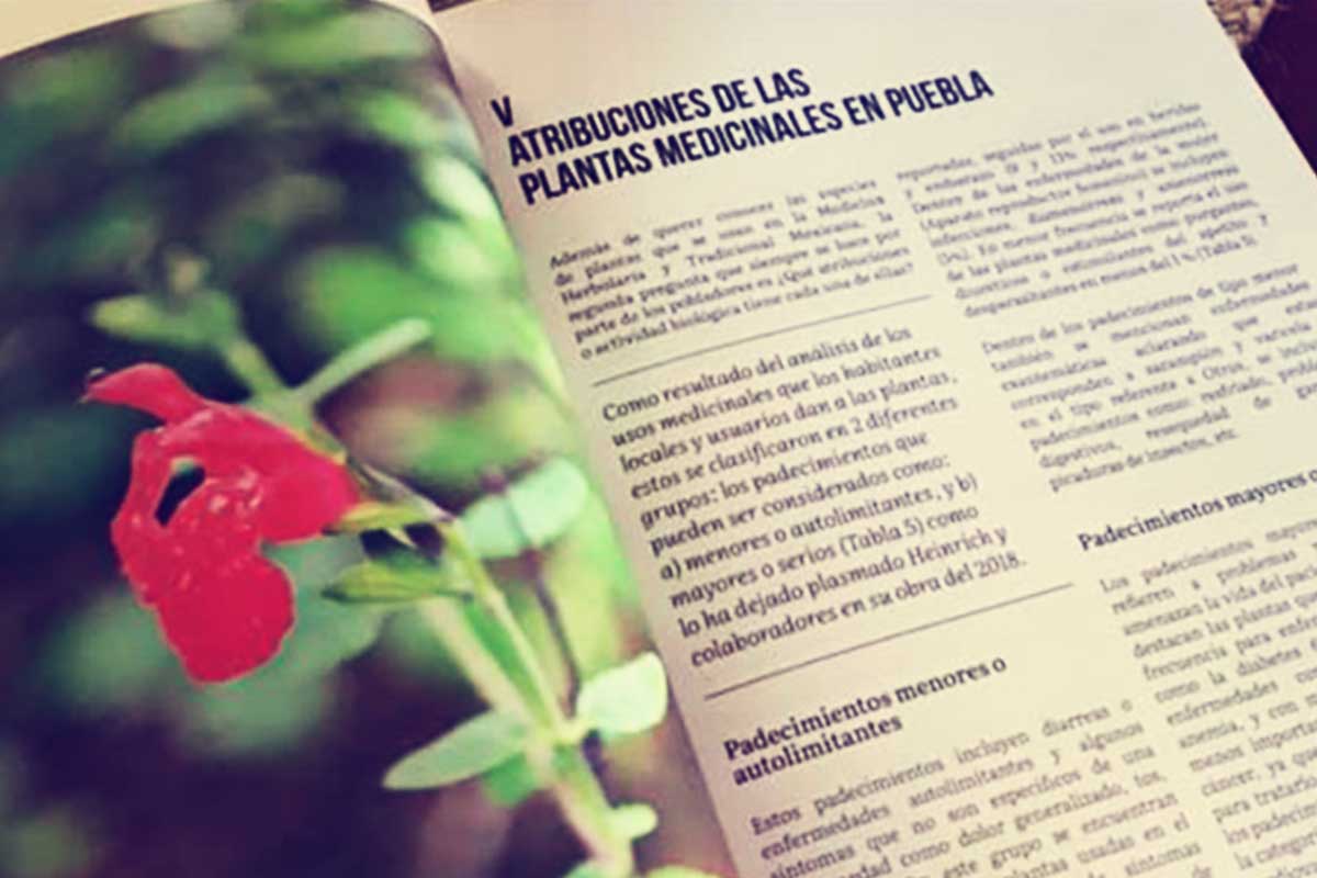 Plantas Medicinales de Puebla, una visión Etnofarmacológica