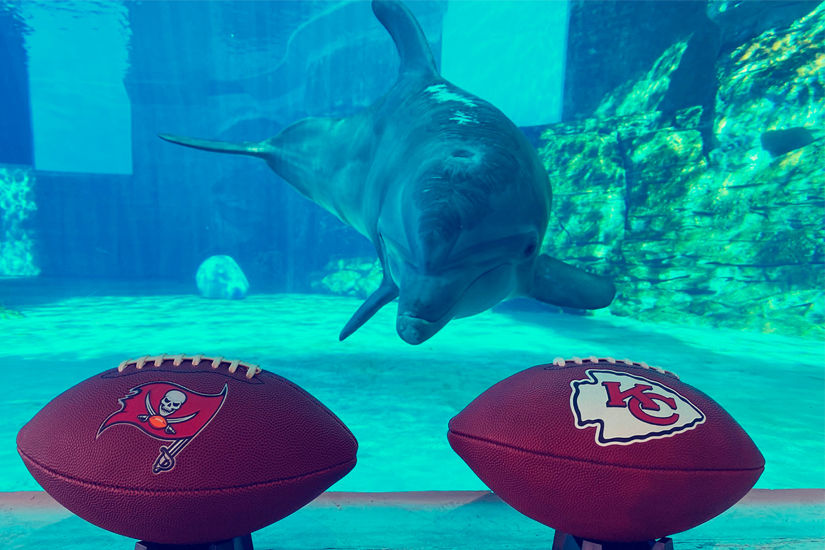 pre-Quién será el ganador del Super Bowl y más predicciones del 2021