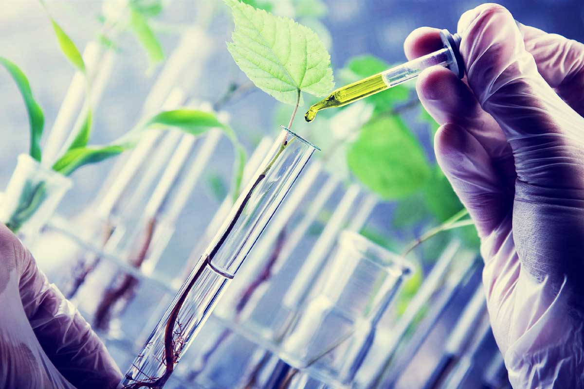 Conoce más sobre la Biotecnología y sus aportaciones