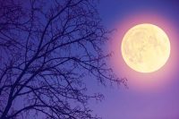 No te pierdas el eclipse total de luna