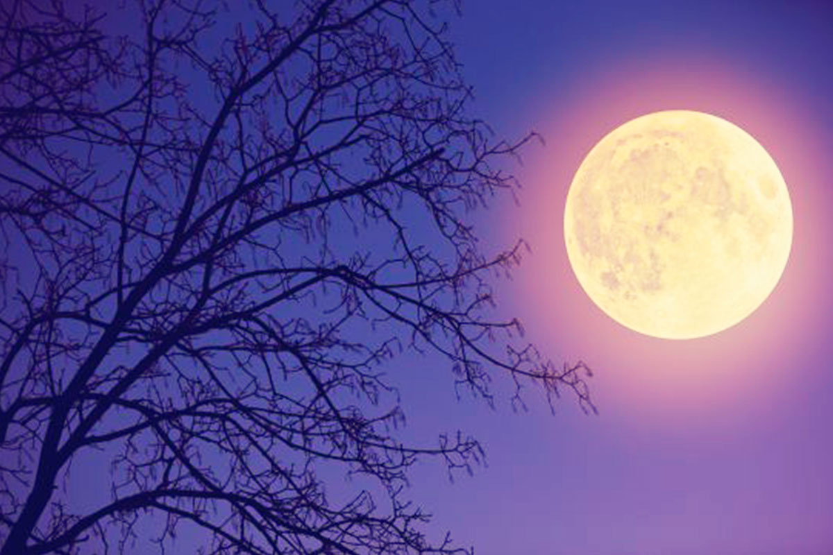 No te pierdas el eclipse total de luna