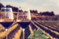 Entrevista a Claudia Horta sobre el éxito de Casta de Vinos