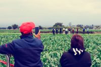 El socavón ya parece atracción turística