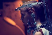 Cannes: Sus galardonadas recientes