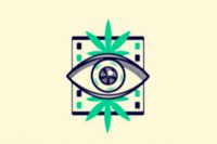 Comentarios post Festival de Cine Cannábico