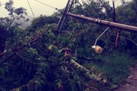 Serias afectaciones en la Sierra de Puebla por Grace