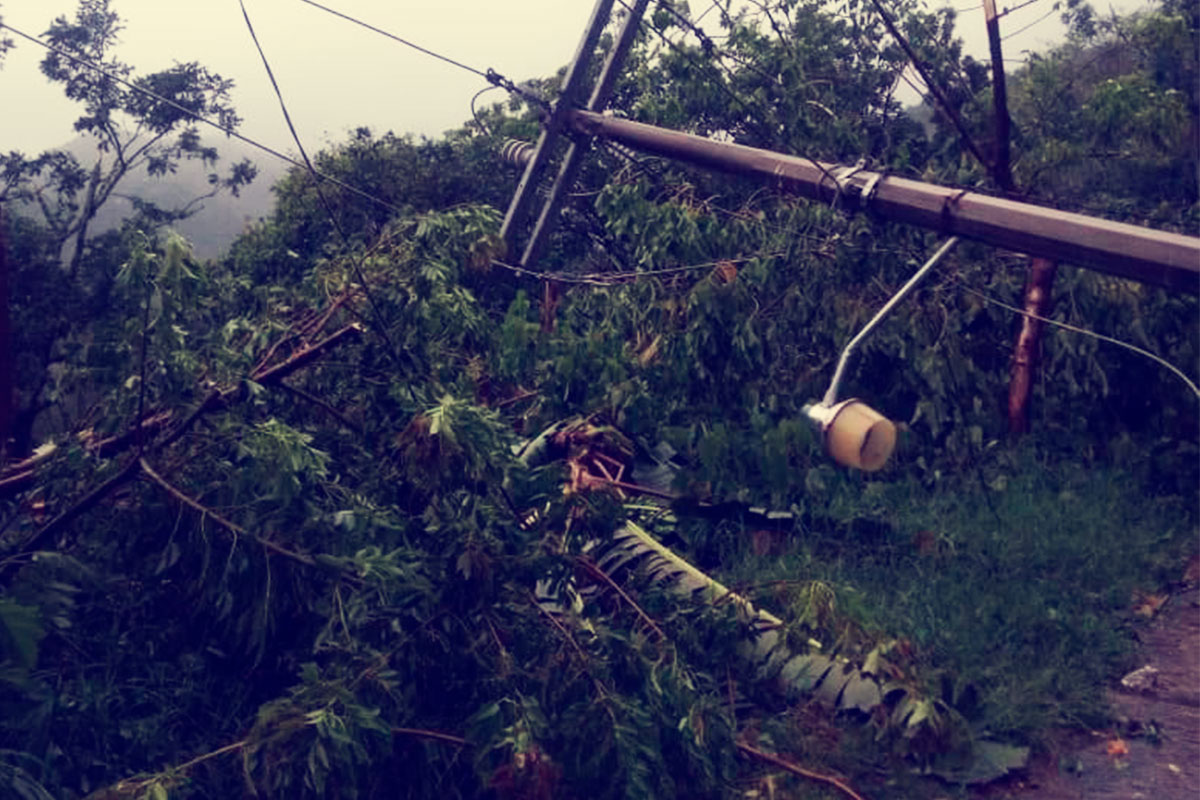 Serias afectaciones en la Sierra de Puebla por Grace