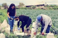 Investigadores BUAP en "100,000 Strong in the Americas”