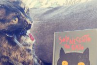 Charla con Alberto Montt "Sólo necesito un gato, pero no es recíproco"