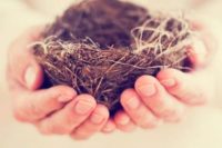 Síndrome del nido vacío