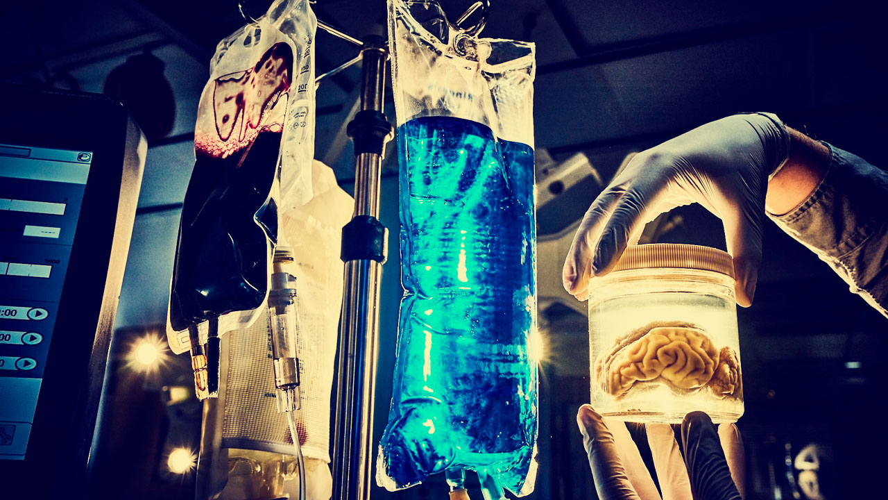 Los descubrimientos científicos más importantes del 2022