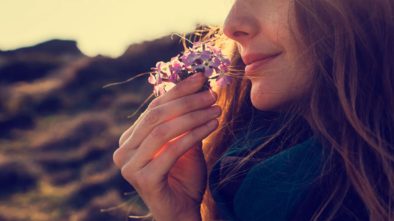 Jueves Retro: Aromas y Olores