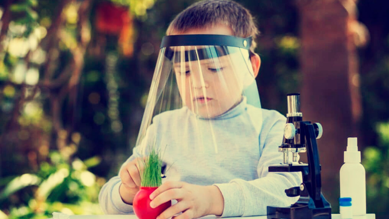 Suma Ciencia: talleres de ciencia recreativa a nivel nacional