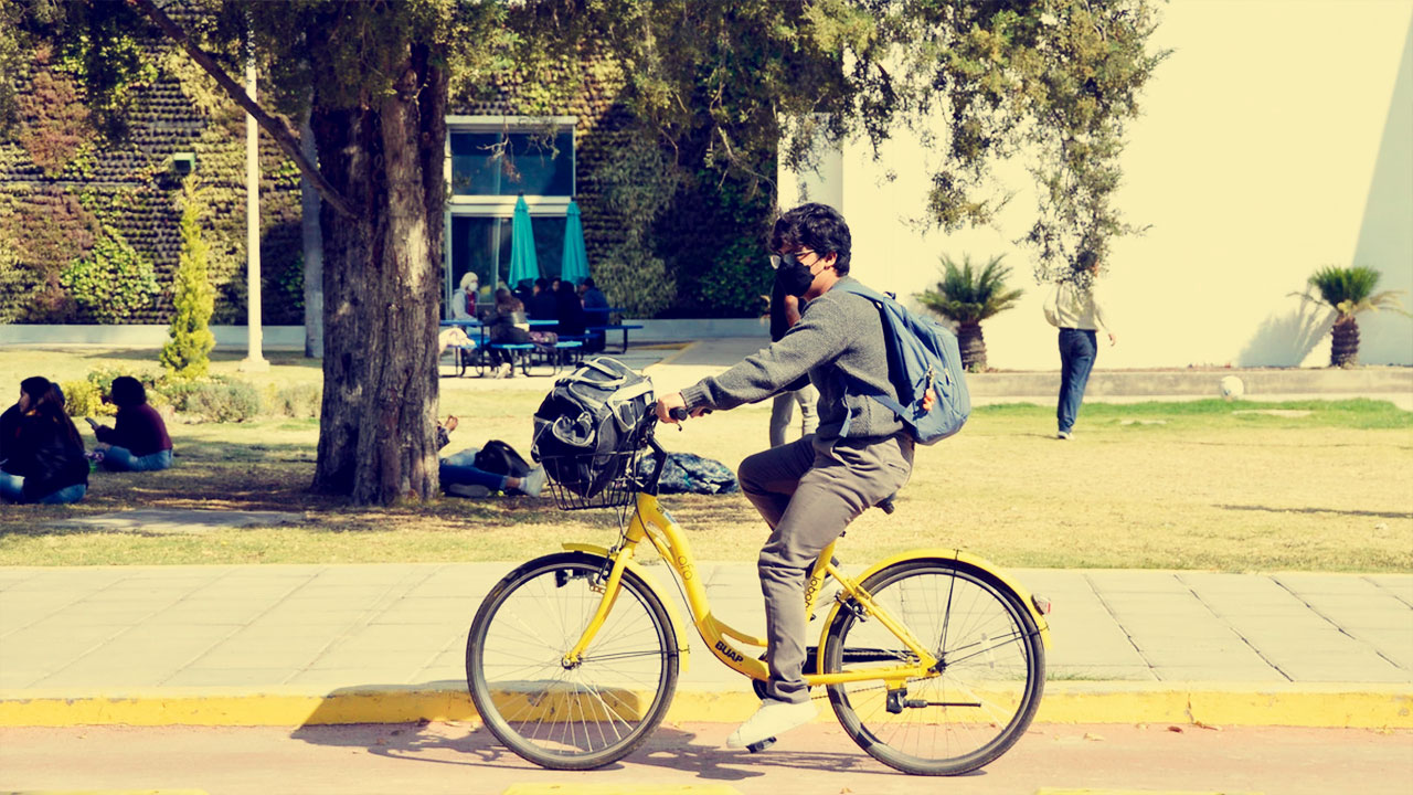 ¡Decimo aniversario de Lobobici!