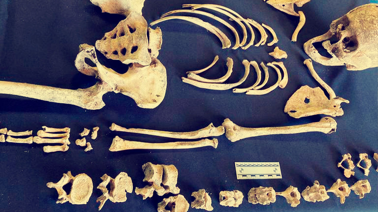 Se rompe cráneo prehispánico en una exhibición 