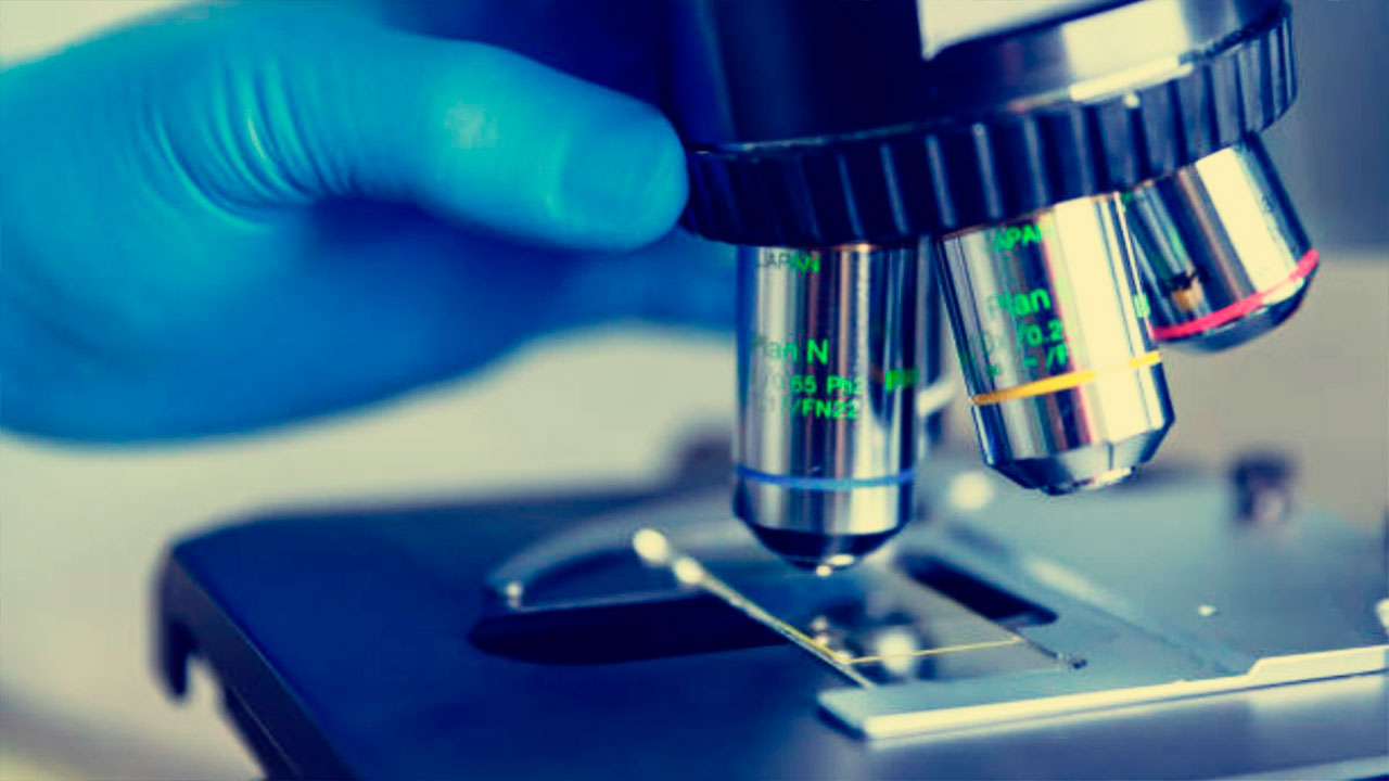 La evolución de los microscopios