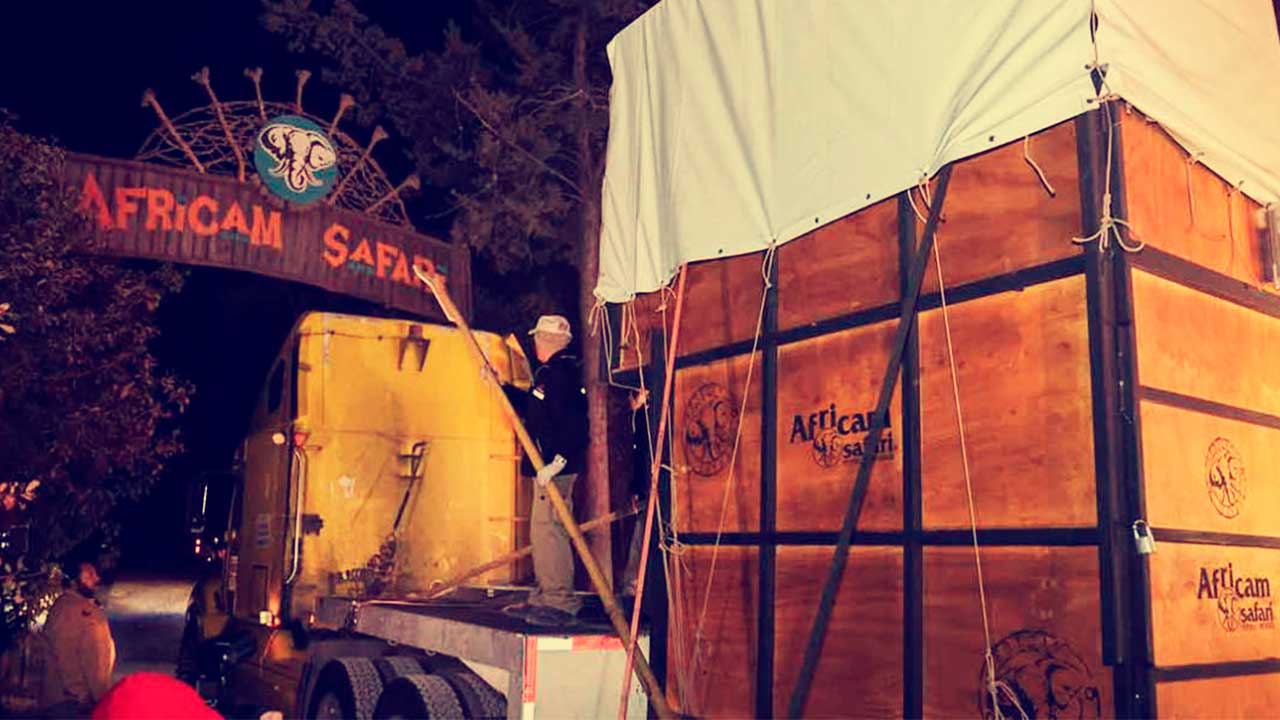 ¡Benito llega a su nuevo hogar en Puebla!