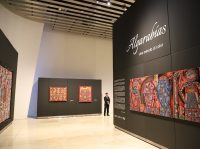 Inicia exposición “Algarabías: una mirada al color”, del artista plástico Fernando Andriacci