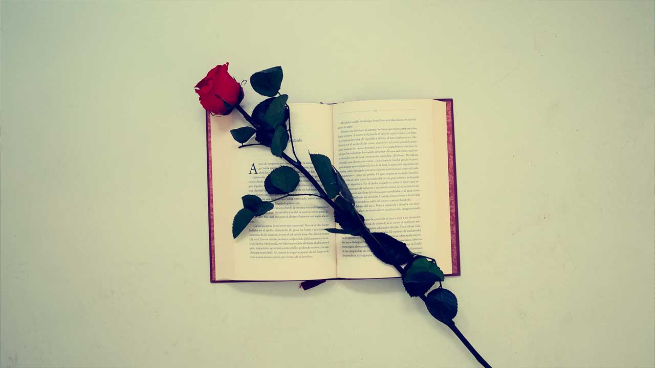 23 de Abril: Un Día de Amor, Victoria y Literatura