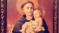 San Antonio de Padua: El Santo de los Milagros y el Amor