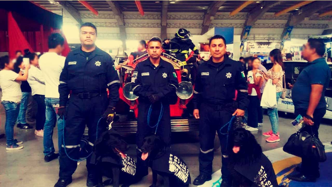 Agente canina rescatista de bomberos en Puebla es despedida con honores