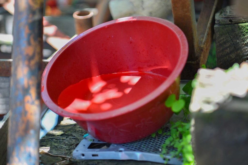 Ingresan 19 personas a hospitalización por dengue en las últimas 24 horas: Salud