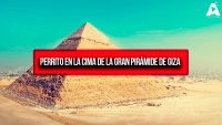 Perrito en la Cima de la Gran Pirámide de Giza