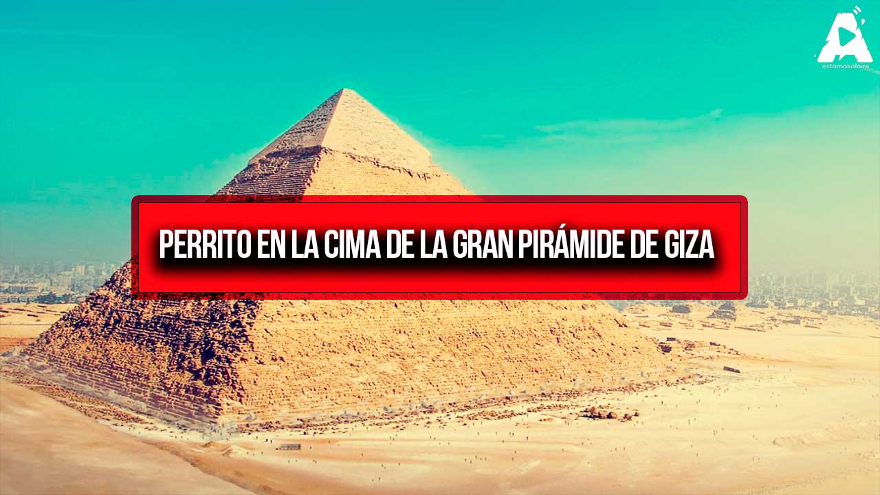 Perrito en la Cima de la Gran Pirámide de Giza