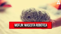 Moflin: Mascota Robótica para Combatir el Estrés