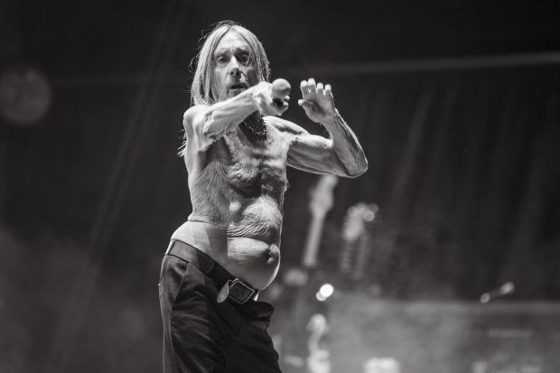 Iggy Pop en el Corona Capital 2024