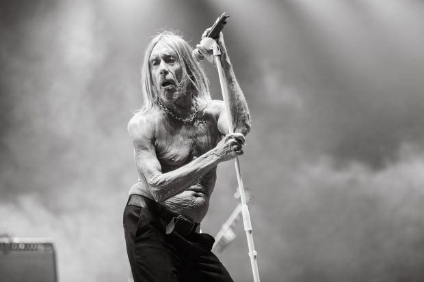 Iggy Pop en el Corona Capital 2024