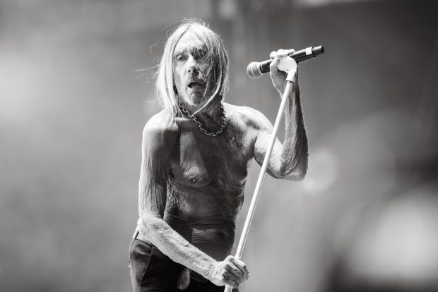 Iggy Pop en el Corona Capital 2024