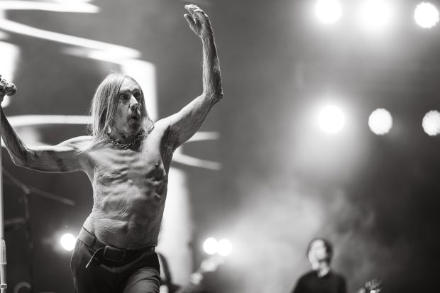 Iggy Pop en el Corona Capital 2024