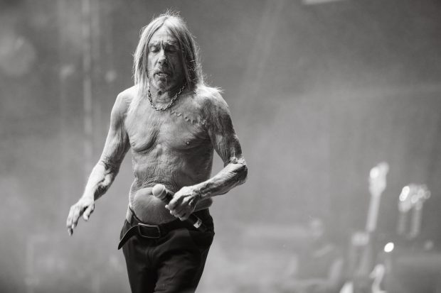 Iggy Pop en el Corona Capital 2024