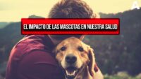 Compañeros de vida: el impacto de las mascotas en nuestra salud