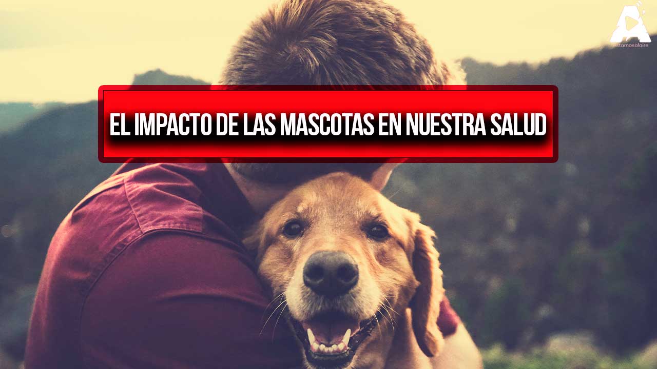 Compañeros de vida: el impacto de las mascotas en nuestra salud