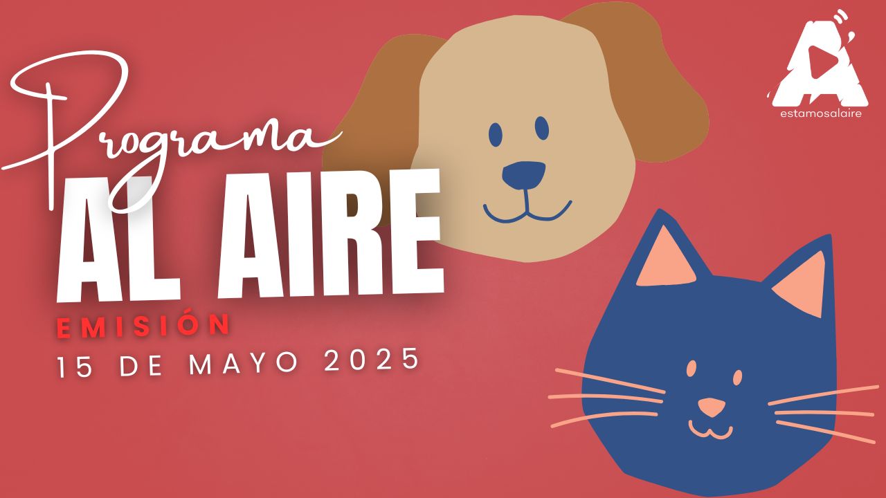 Historias de Amor y Salvación: Las Razones para Adoptar una Mascota