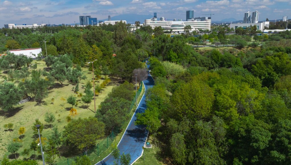 Convenciones y Parques realiza gestión integral del arbolado en el Parque Metropolitano y el Paseo del Río
