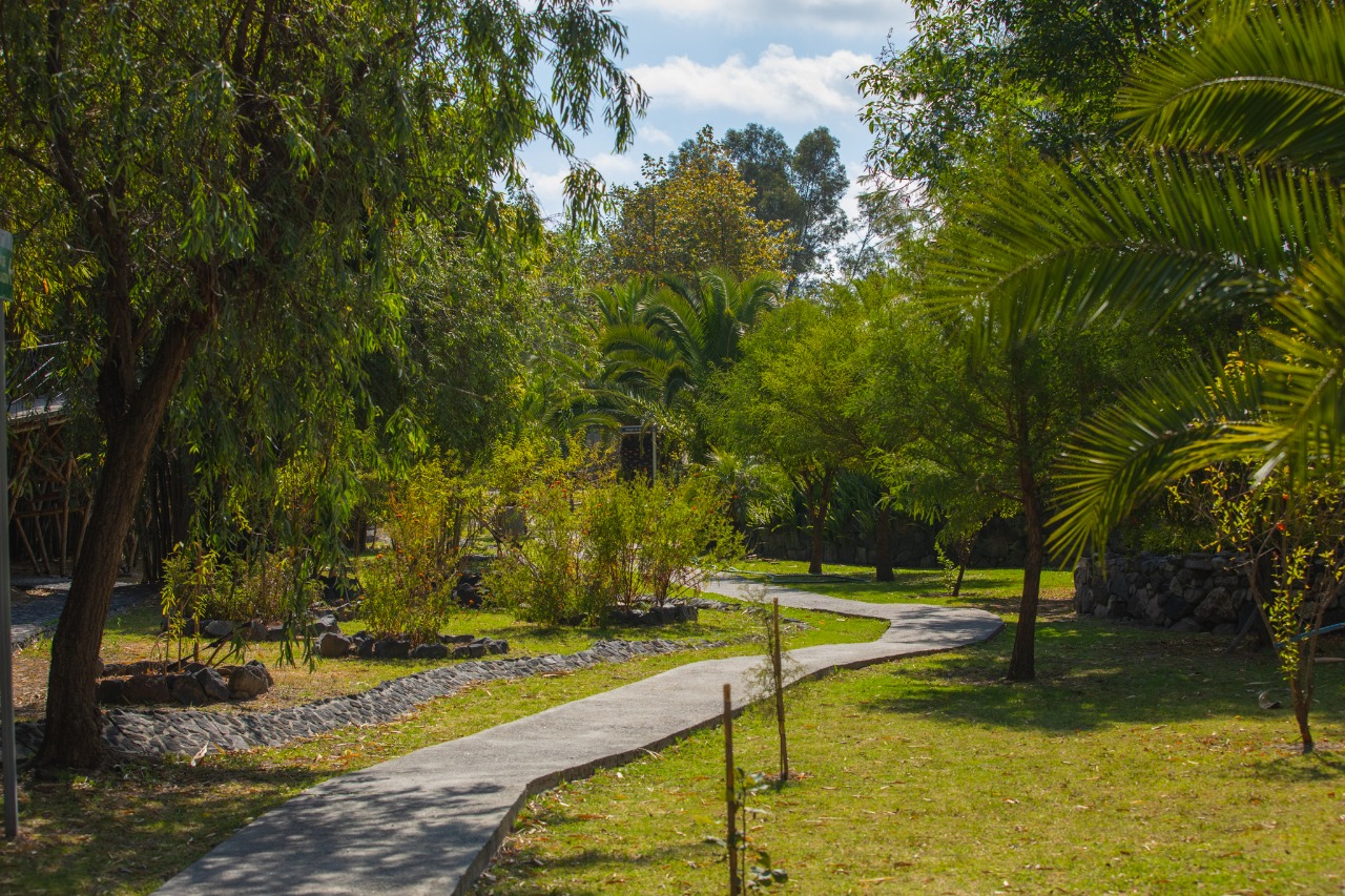 Convenciones y Parques realiza gestión integral del arbolado en el Parque Metropolitano y el Paseo del Río